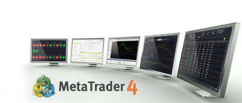 Forex multi terminal