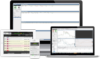 Nsfx forex